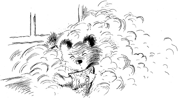 Иллюстрация к книге — Медвежонок Паддингтон – чемпион [i_016.jpg]