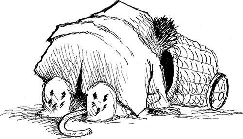 Иллюстрация к книге — Медвежонок Паддингтон – чемпион [i_020.jpg]