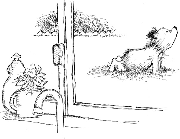 Иллюстрация к книге — Медвежонок Паддингтон – чемпион [i_023.jpg]