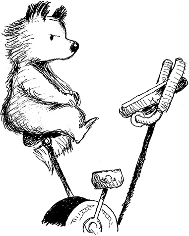 Иллюстрация к книге — Медвежонок Паддингтон – чемпион [i_027.jpg]