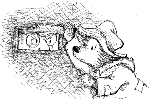 Иллюстрация к книге — Медвежонок Паддингтон – чемпион [i_028.jpg]