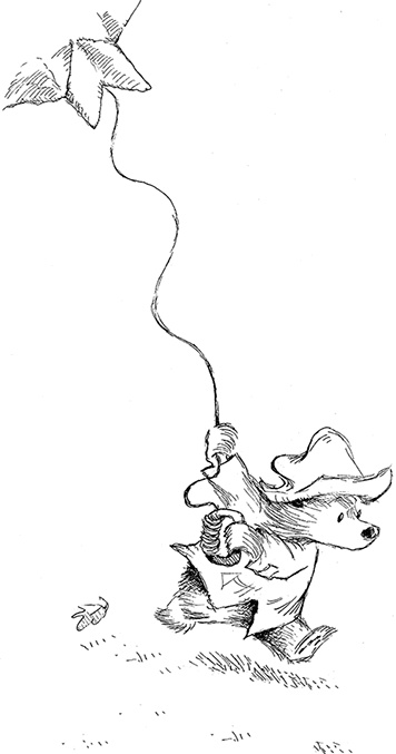 Иллюстрация к книге — Медвежонок Паддингтон – чемпион [i_034.jpg]