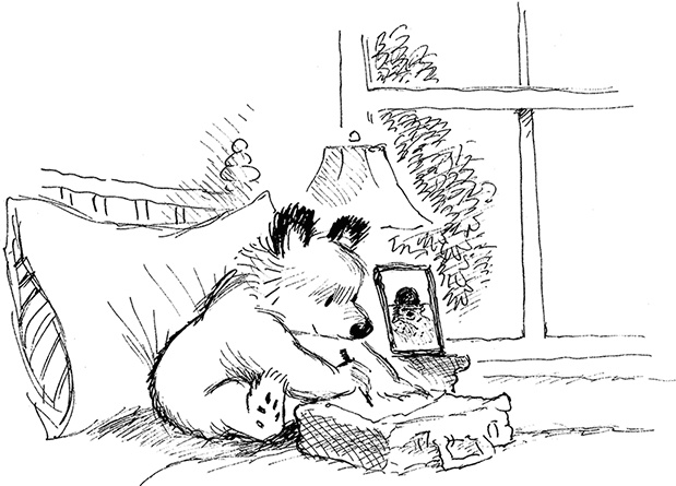 Иллюстрация к книге — Медвежонок Паддингтон – чемпион [i_039.jpg]