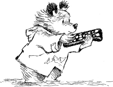 Иллюстрация к книге — Медвежонок Паддингтон – чемпион [i_047.jpg]