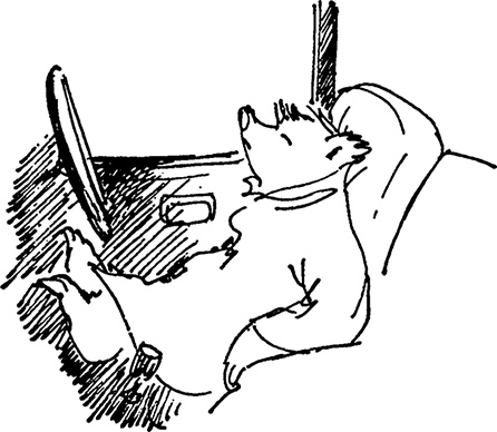 Иллюстрация к книге — Медвежонок Паддингтон сдаёт экзамен [i_003.jpg]