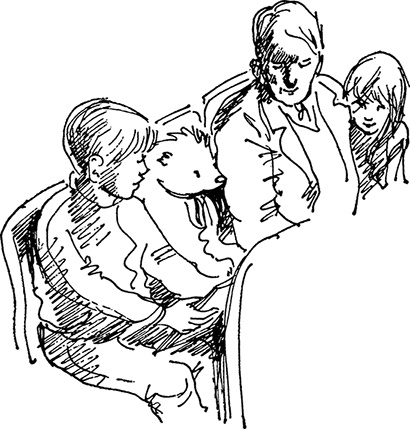 Иллюстрация к книге — Медвежонок Паддингтон сдаёт экзамен [i_014.jpg]