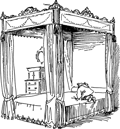 Иллюстрация к книге — Медвежонок Паддингтон сдаёт экзамен [i_015.jpg]