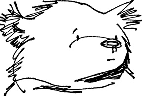 Иллюстрация к книге — Медвежонок Паддингтон сдаёт экзамен [i_016.jpg]