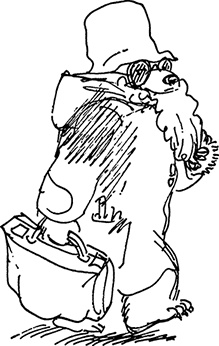 Иллюстрация к книге — Медвежонок Паддингтон сдаёт экзамен [i_021.jpg]