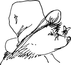 Иллюстрация к книге — Медвежонок Паддингтон сдаёт экзамен [i_022.jpg]