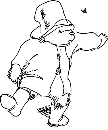 Иллюстрация к книге — Медвежонок Паддингтон сдаёт экзамен [i_024.jpg]