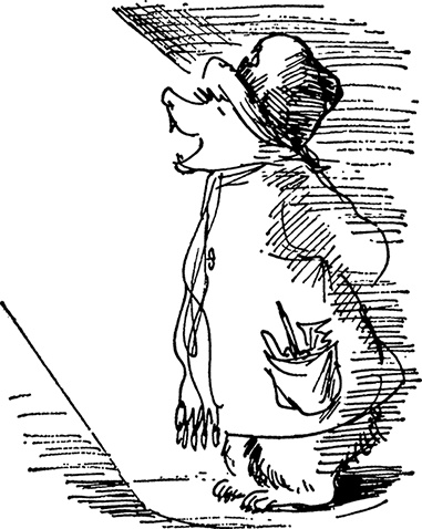 Иллюстрация к книге — Медвежонок Паддингтон сдаёт экзамен [i_025.jpg]