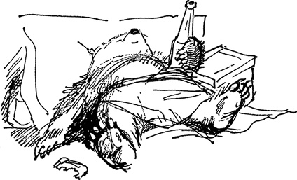 Иллюстрация к книге — Медвежонок Паддингтон сдаёт экзамен [i_026.jpg]