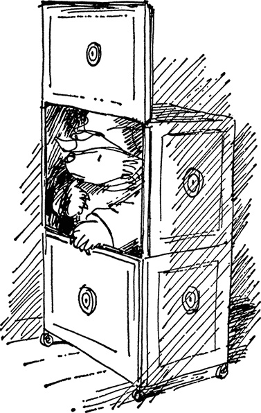 Иллюстрация к книге — Медвежонок Паддингтон сдаёт экзамен [i_034.jpg]