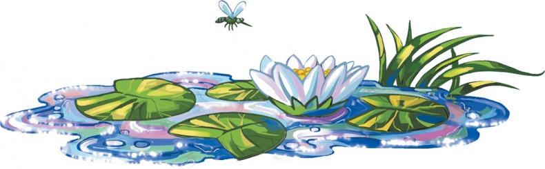 Иллюстрация к книге — Кефир, Гаврош и Рикошет, или Приключения енотов-инопланетян [i_023.jpg]