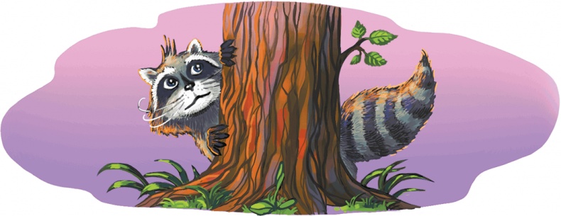 Иллюстрация к книге — Кефир, Гаврош и Рикошет, или Приключения енотов-инопланетян [i_034.jpg]