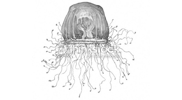 Иллюстрация к книге — Тайны бессмертия [i_009.jpg]