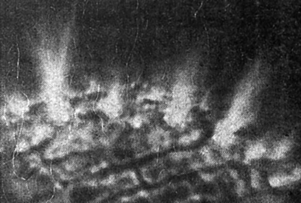 Иллюстрация к книге — Тайны бессмертия [i_037.jpg]