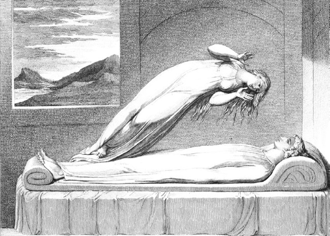 Иллюстрация к книге — Тайны бессмертия [i_038.jpg]