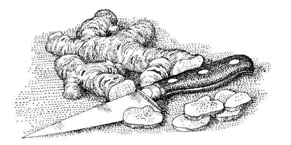 Иллюстрация к книге — Тайны бессмертия [i_056.jpg]