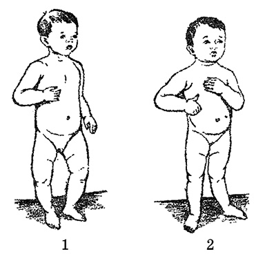 Иллюстрация к книге — Возрастная анатомия и физиология. Основы профилактики и коррекции нарушений в развитии детей [i_013.jpg]