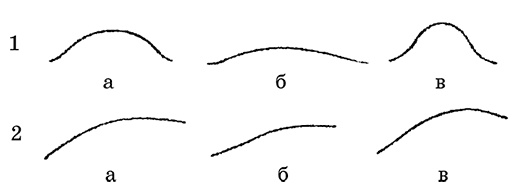 Иллюстрация к книге — Возрастная анатомия и физиология. Основы профилактики и коррекции нарушений в развитии детей [i_016.jpg]