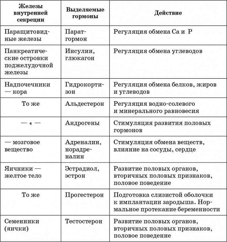 Иллюстрация к книге — Возрастная анатомия и физиология. Основы профилактики и коррекции нарушений в развитии детей [i_039.jpg]