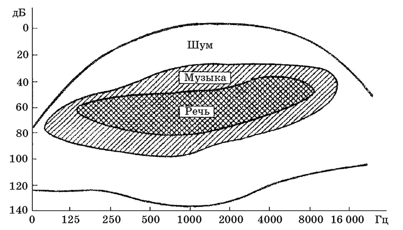 Иллюстрация к книге — Возрастная анатомия и физиология. Основы профилактики и коррекции нарушений в развитии детей [i_058.jpg]