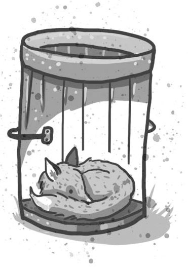 Иллюстрация к книге — Школа волшебных зверей [_151.jpg]