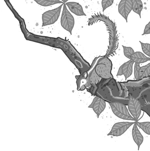 Иллюстрация к книге — Школа волшебных зверей [_191.jpg]