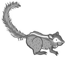 Иллюстрация к книге — Школа волшебных зверей [_26.jpg]