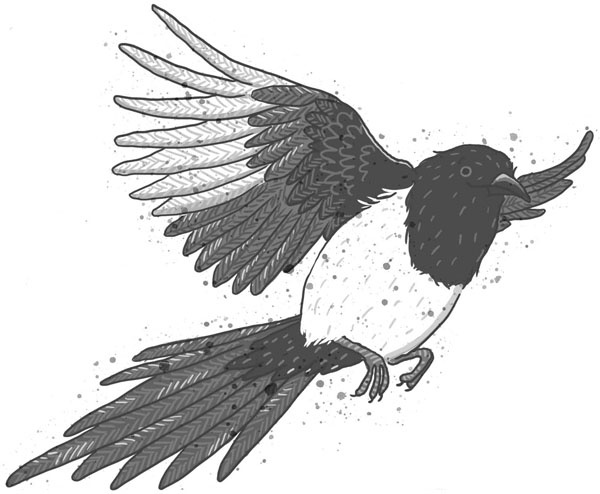 Иллюстрация к книге — Школа волшебных зверей [_41.jpg]