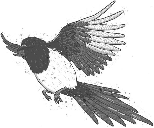 Иллюстрация к книге — Школа волшебных зверей [_75.jpg]