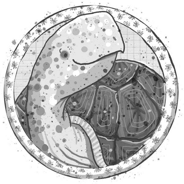 Иллюстрация к книге — Школа волшебных зверей [g17.jpg]