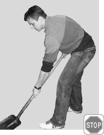 Иллюстрация к книге — Большая книга упражнений для спины. Комплекс &quot;Умный позвоночник&quot; [_105.jpg]