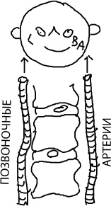 Иллюстрация к книге — Большая книга упражнений для спины. Комплекс &quot;Умный позвоночник&quot; [_125.jpg]