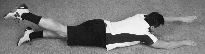 Иллюстрация к книге — Большая книга упражнений для спины. Комплекс &quot;Умный позвоночник&quot; [_160.jpg]