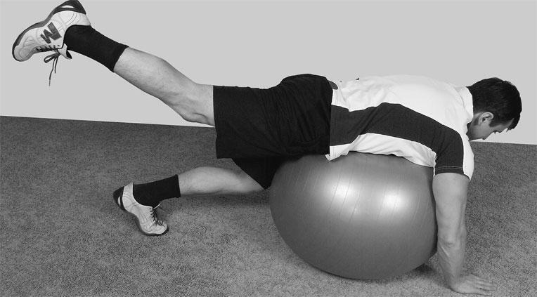 Иллюстрация к книге — Большая книга упражнений для спины. Комплекс &quot;Умный позвоночник&quot; [_164.jpg]