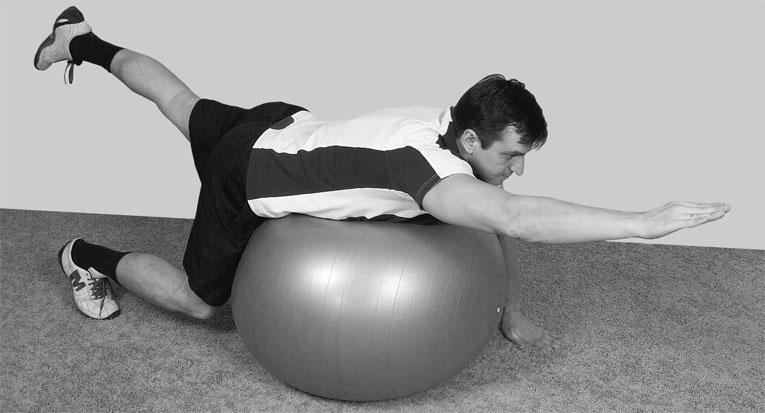 Иллюстрация к книге — Большая книга упражнений для спины. Комплекс &quot;Умный позвоночник&quot; [_166.jpg]