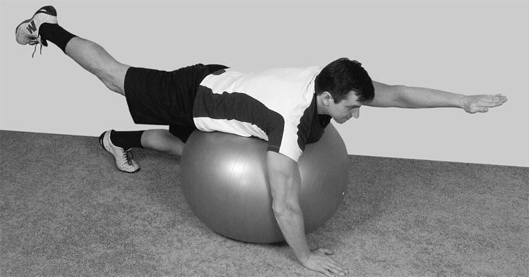 Иллюстрация к книге — Большая книга упражнений для спины. Комплекс &quot;Умный позвоночник&quot; [_167.jpg]