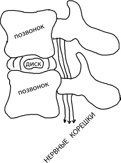 Иллюстрация к книге — Большая книга упражнений для спины. Комплекс &quot;Умный позвоночник&quot; [_4.jpg]