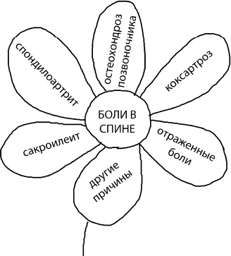 Иллюстрация к книге — Большая книга упражнений для спины. Комплекс &quot;Умный позвоночник&quot; [_5.jpg]