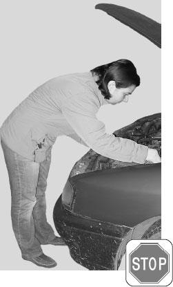 Иллюстрация к книге — Большая книга упражнений для спины. Комплекс &quot;Умный позвоночник&quot; [_73.jpg]