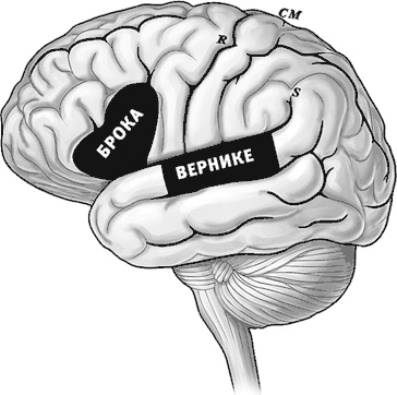 Иллюстрация к книге — Век самопознания. Поиски бессознательного в искусстве и науке с начала XX века до наших дней [i_010.jpg]