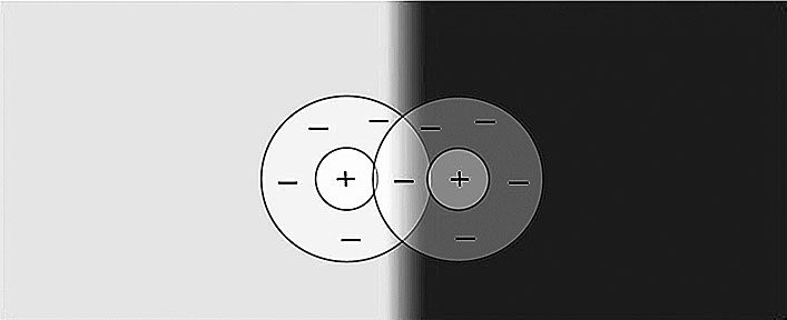 Иллюстрация к книге — Век самопознания. Поиски бессознательного в искусстве и науке с начала XX века до наших дней [i_078.jpg]