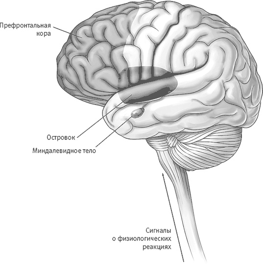 Иллюстрация к книге — Век самопознания. Поиски бессознательного в искусстве и науке с начала XX века до наших дней [i_092.jpg]