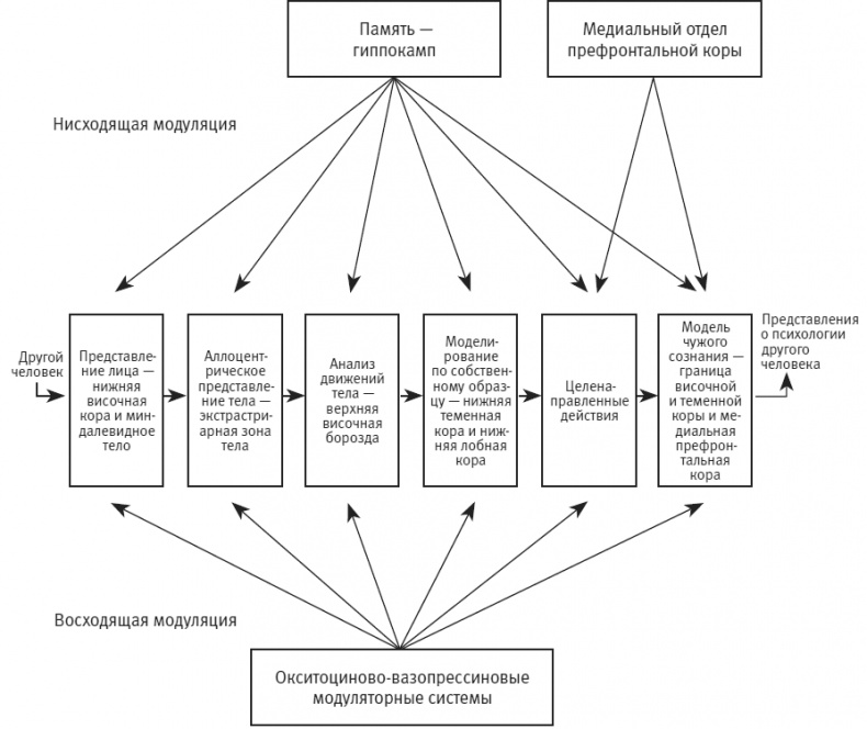 Иллюстрация к книге — Век самопознания. Поиски бессознательного в искусстве и науке с начала XX века до наших дней [i_115.jpg]