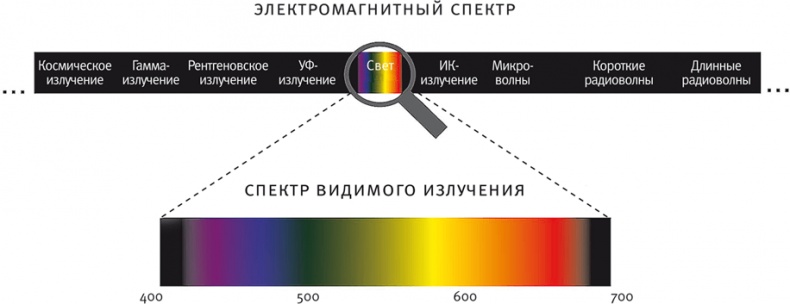 Иллюстрация к книге — Век самопознания. Поиски бессознательного в искусстве и науке с начала XX века до наших дней [i_176.jpg]