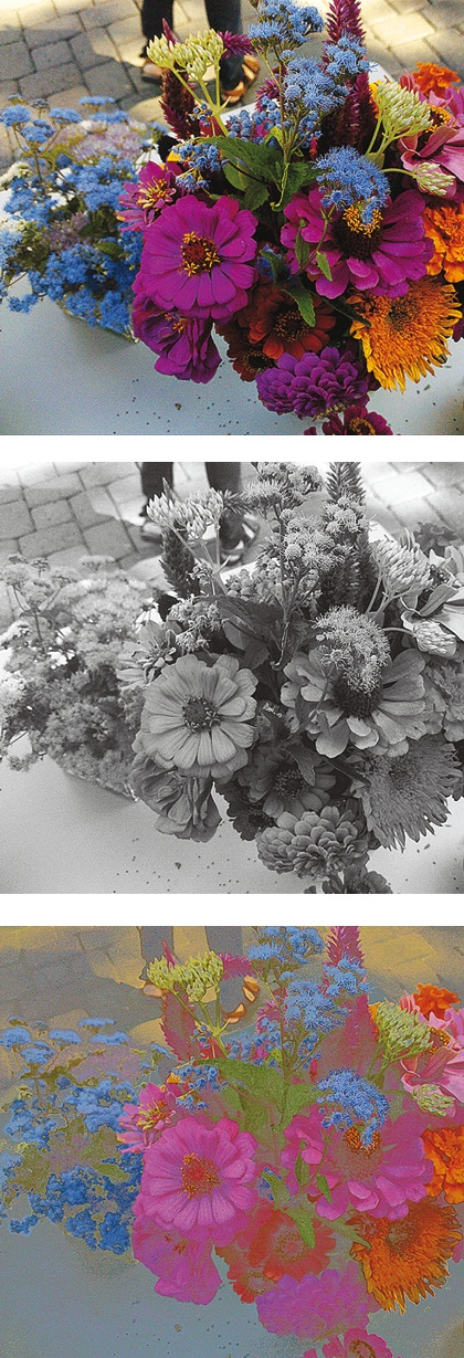 Иллюстрация к книге — Век самопознания. Поиски бессознательного в искусстве и науке с начала XX века до наших дней [i_177.jpg]