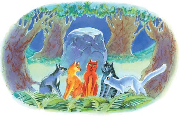 Иллюстрация к книге — Закон племен [pic_1.jpg]